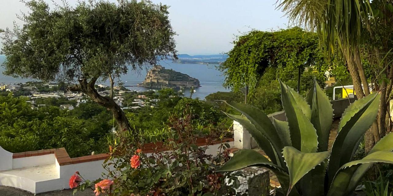 Barracudasuite Ischia Kültér fotó